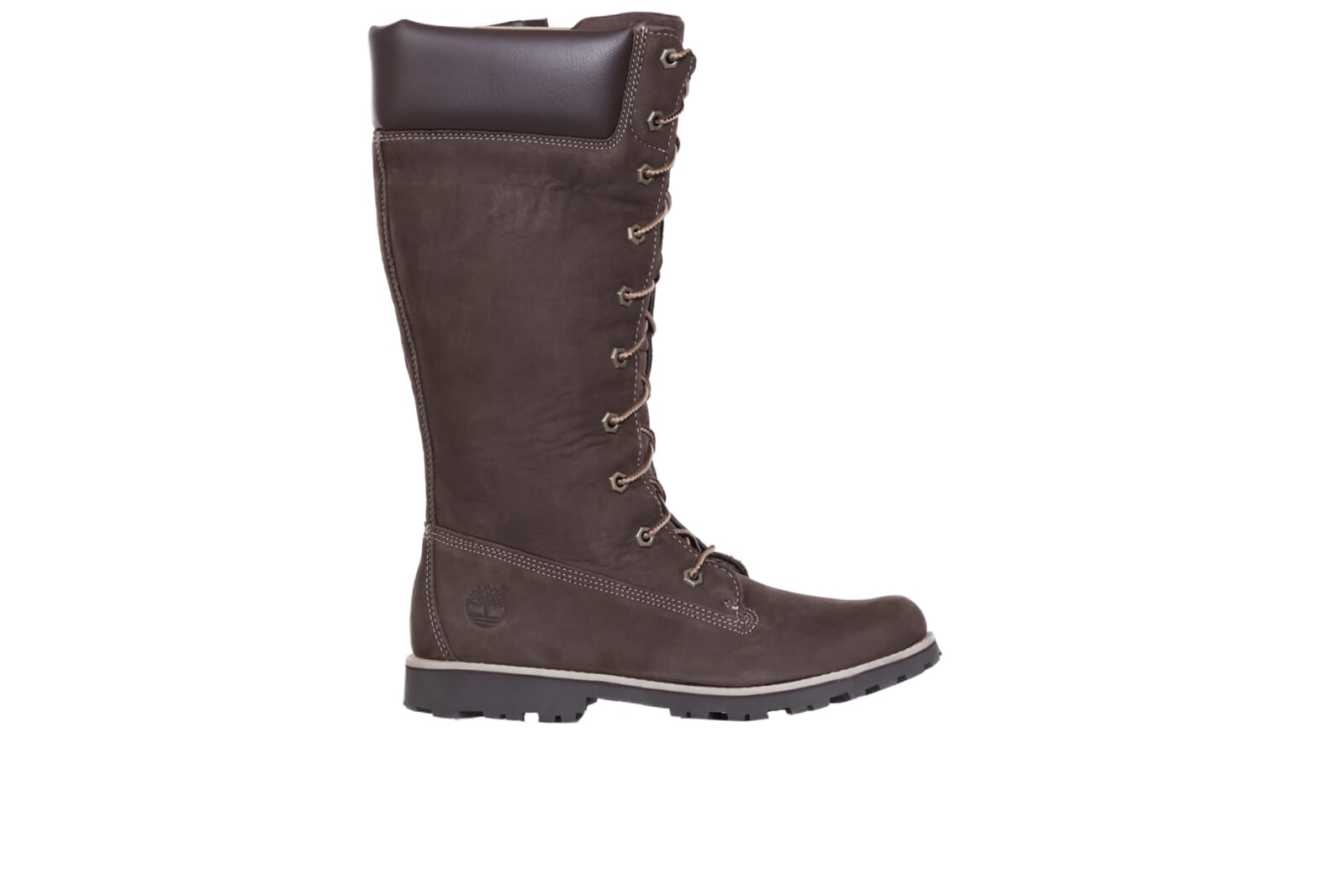 timberland asphalt trail